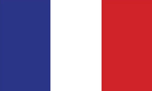 Top Export Country flags